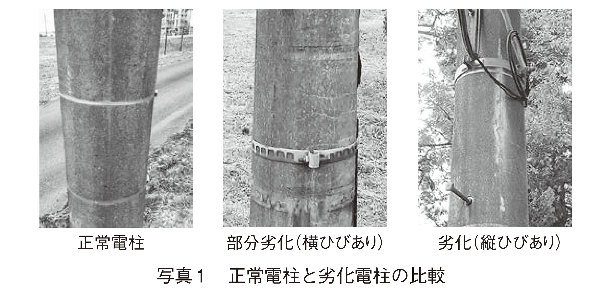 日本電気（株） コンクリート電柱のひび割れ検知を実証の画像